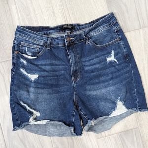 Judy Blue Denim Shorts